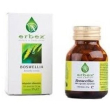 erbex boswellia capsule 35 g