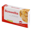 boswellia estratto secco 60 compresse 24g
