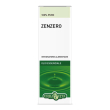 olio ess.zenzero 10ml      ebv