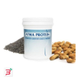 atma protein 100 compresse