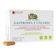 gastrodia uncaria 60cps