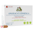 angelica e ginseng 8 60 capsule senza glutine