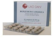 atractylodes 4  60 cpr