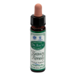 ainsworths recov remedy 10ml
