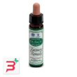 ainsworths recov remedy 10ml