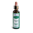 ainsworths recov plus gocce 20 ml