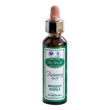 ainsworths recov plus 20ml