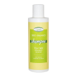 tea tree sh seboreg 200ml