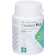 candaid plus compresse 30 pz