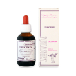 idropsis 50ml