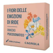 rimedi psicos acqua roccia 4do