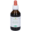 biancospino fiori/foglie tintura madre 100 ml ml gocce orali
