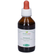 echinacea radice tintura madre 100 ml - integratore per le difese immunitarie