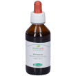 echinacea radice tintura madre 100 ml ml gocce orali