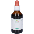 sangalli pilosella foglie tintura madre gocce 100 ml orali