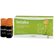intake-integ 10 flac