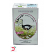karoo african drink bio 20 bustine