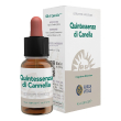 quintessenza cannella ecosol 10 ml gocce orali