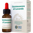 quintessenza lavanda 10ml