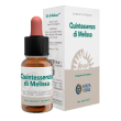 quintessenza melissa ecosol 10 ml olio essenziale