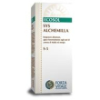 sys alchemilla 50 ml gocce orali