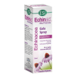 echinaid gola spray analcolico 20ml
