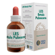 les betula pubescens 50ml