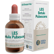 les betula pubescens 50 ml
