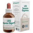 sequoia gigantea les 50ml