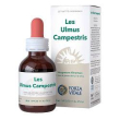 les ulmus campestris gocce50ml