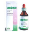 phitolarix bardana 100ml