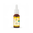 regiflowers bach cerato 30ml