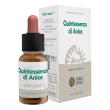 forza vitale italia ecosol quintessenza di anice gocce 10 ml