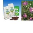 malva fiori int blu 1000g