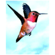colibri hummingbird essenze di animali selvatici 30ml