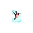 colibri hummingbird ess 30ml