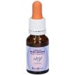 by ess 15ml 15 ml essenza