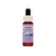 guardian alaskan essences 7,4 ml - integratore per il benessere mentale