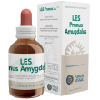 les prunus amygdalus gocce50ml