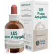 les prunus amygdalus gocce 50 ml