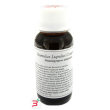 lvs 02s humulus lupulus compositum 60 ml