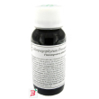 lvs 08n harpagophytum procumbens compositum 60 ml