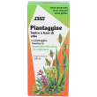 saluz piantaggine sciroppo naturale, 250 ml, benessere respiratorio con piantaggine, salvia e muschi