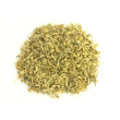achillea millefoglie con sommità fiorita in taglio tisana