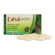 caftal gola voce 24tav 60g