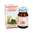 equilat 80 capsule - integratore di latte di cavalla