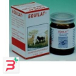equilat bio 80 capsule