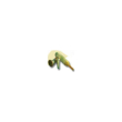 conveen - 30 guaine per incontinenza autoadesiva in lattice - misura 30 mm