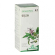 gemmosol 42 sequoia 50ml