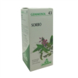 sorbus domestica 1dh gemme 50ml